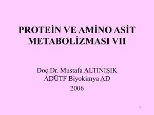 Amino asitlerin önemli fonksiyonları: Glisin