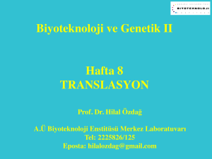 Biyoteknoloji ve Genetik II Hafta 8 TRANSLASYON