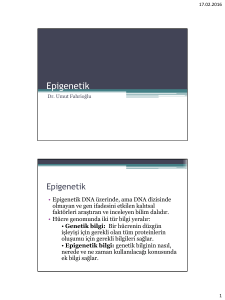 Epigenetik - WordPress.com