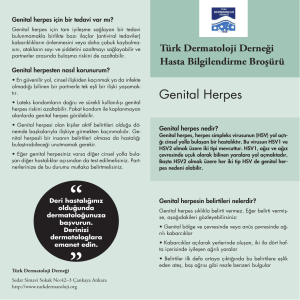 Genital Herpes - Türk Dermatoloji Derneği