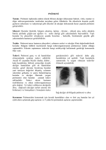 PNÖMONİ Tanım: Pnömoni toplumda zatürre olarak bilinen akciğer