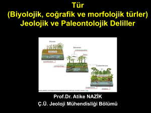 Tür (Biyolojik, coğrafik ve morfolojik türler) Jeolojik ve Paleontolojik