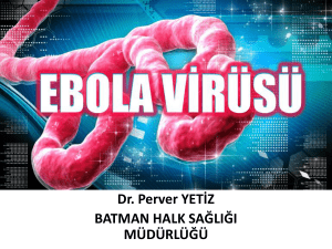 ebola virüs hastalığı - Batman Halk Sağlığı Müdürlüğü