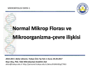 Normal Mikrop Floras*