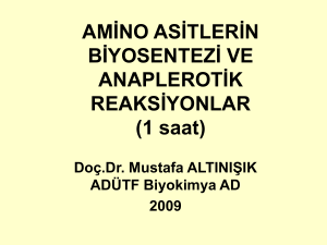 01 Amino asitlerin biyosentezi ve anaplerotik reaksiyonlar