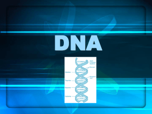 DNA - DijitalDers.com