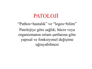 PATOLOJİ