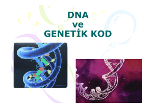 DNA ve GENETİK KOD