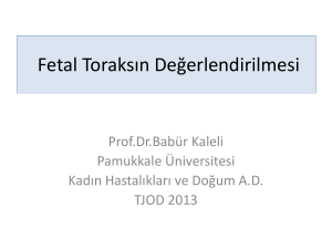 Fetal Toraks