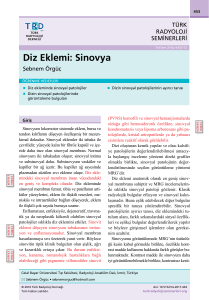 Diz Eklemi: Sinovya - Türk Radyoloji Seminerleri