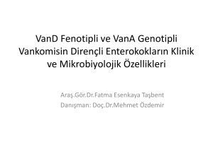 VanD Fenotipli ve VanA Genotipli Vankomisin Dirençli Enterokoklar