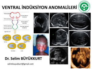 Fetal ventral indüksiyon anomalileri