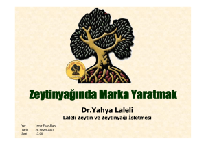 Zeytinyağında Marka Yaratmak - Laleli Zeytin ve Zeytinyağı İşletmesi