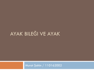 Ayak Bile*i Ve Ayak - Fizyoterapist Murat