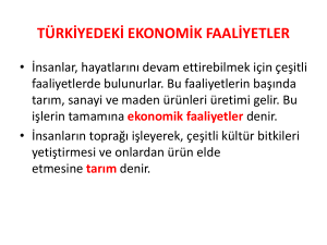 türk*yede yapılan ekonom*k faal*yetler