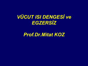 VÜCUT ISI DENGESİ ve EGZERSİZ Prof.Dr.Mitat KOZ