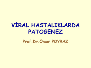 viral hastalıklarda patogenez