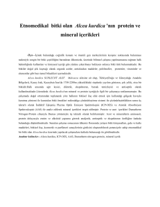 Etnomedikal bitki olan Alcea kurdica `nın protein ve