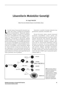 Lösemilerin Moleküler Genetiği