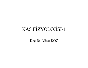 KAS FZYOLOJS-1