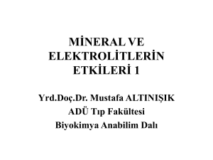 mineral ve elektrolitlerin etkileri 1
