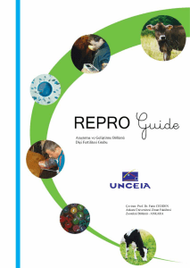 Repro Guide