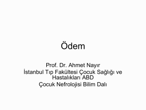 ÖDEM - Prof.Dr. Ahmet NAYIR