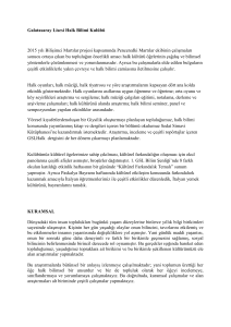 Galatasaray Lisesi Halk Bilimi Kulübü 2015 yılı Bilişimci Martılar