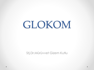glokom - WordPress.com