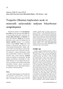Turgutlu (Manisa) kaplıcaları sıcak ve mineralli sularındaki sodyum