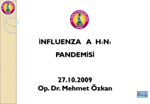 Pandemik İnfluenza A (H1N1) vakası