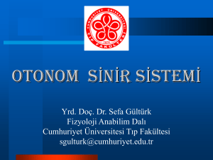 Otonom sinir sistemi - Cumhuriyet Üniversitesi Tıp Fakültesi