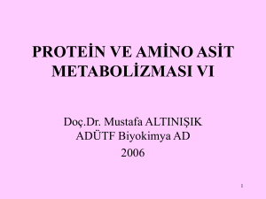 protein ve amino asit metabolizması vı