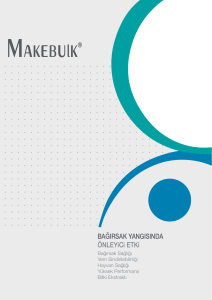 makebulkkk copy