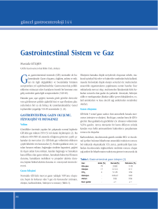Gastrointestinal Sistem ve Gaz