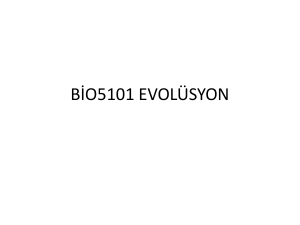 B*O5101 EVOLÜSYON