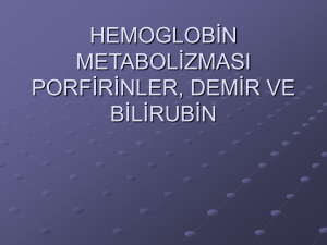 hemoglobin metabolizması porfirinler, demir ve bilirubin