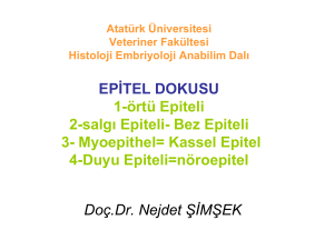 Slayt 1 - Atatürk Üniversitesi
