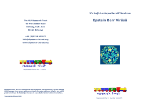 Epstein Barr Virüsü - XLP Research Trust