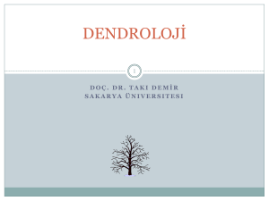 Dendrology - SABİS - Sakarya Üniversitesi