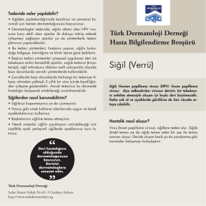 Sigil - Türk Dermatoloji Derneği