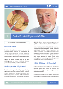 Selim Prostat Büyümesi (SPB)