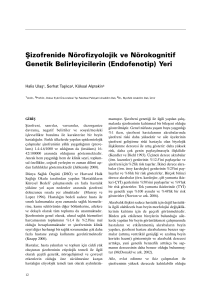 Şizofrenide Nörofizyolojik ve Nörokognitif Genetik Belirleyicilerin