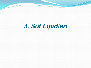 3. Süt Lipidleri