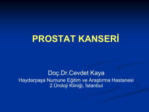 Slayt 1 - İstanbul Sağlık Müdürlüğü