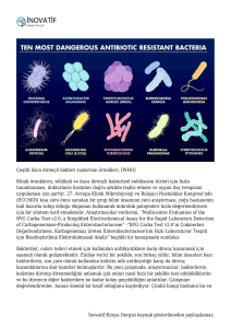 İlaca Dirençli Mikroplar, Yeni Kütle Spektroskopisi Metodu ile Hızla