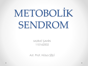 tedavi - Fizyoterapist Murat