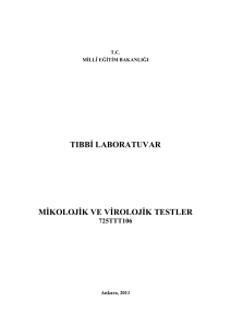 tıbbġ laboratuvar mġkolojġk ve vġrolojġk testler