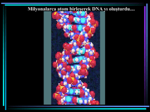 Milyonalarca atom birleşerek DNA yı oluşturdu.