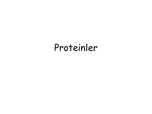 1. Proteinler